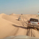Full Day Desert safari With BBQ Meal